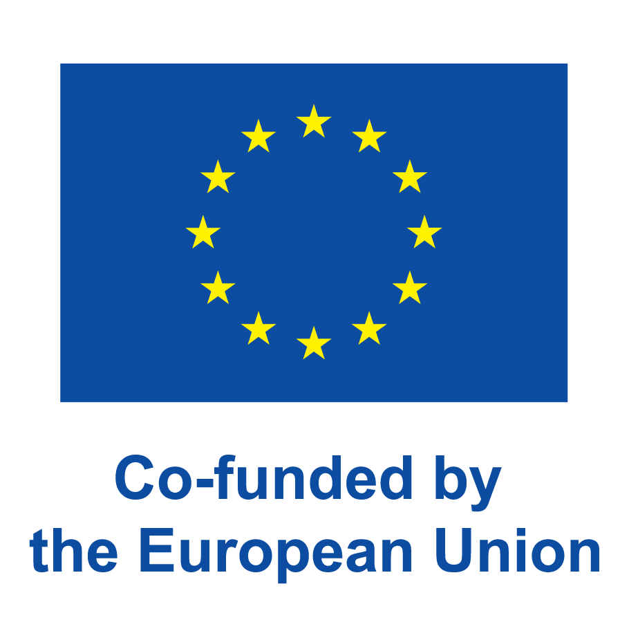 EN V Co-funded by_POS